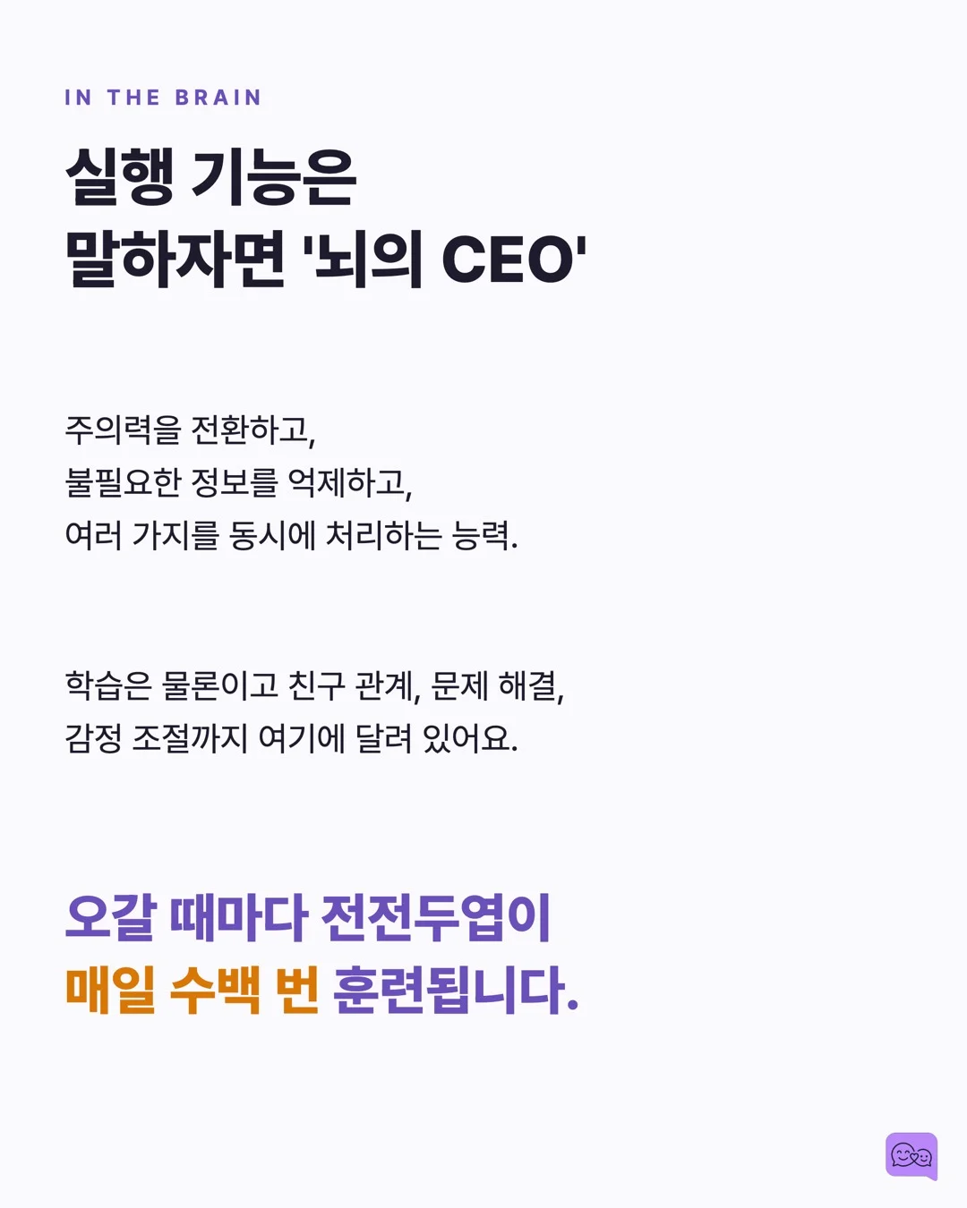 이중언어 아이의 뇌가 더 유연한 과학적 이유 — 요약 카드 5